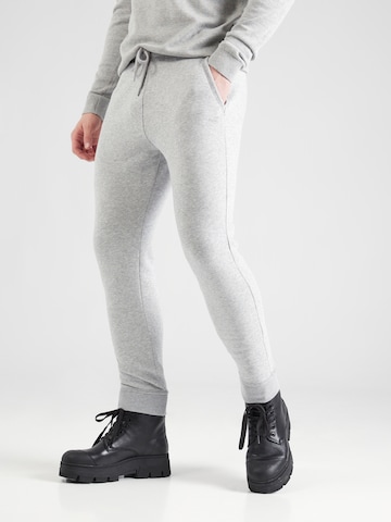 HOLLISTER - Tapered Pantalón en gris: frente