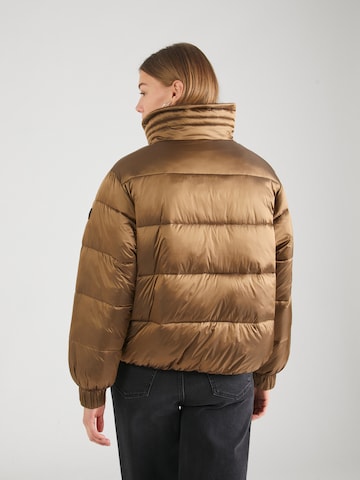 BOSS Winter Jacket 'Padina' in Brown