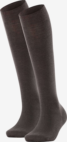 FALKE Knee High Socks in Brown: front