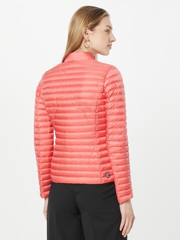 Veste d’hiver Colmar en rose