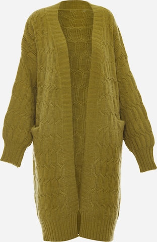 Tanuna Knit Cardigan in Green: front