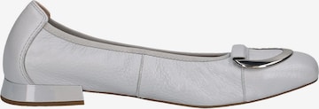 CAPRICE Ballet Flats in Grey