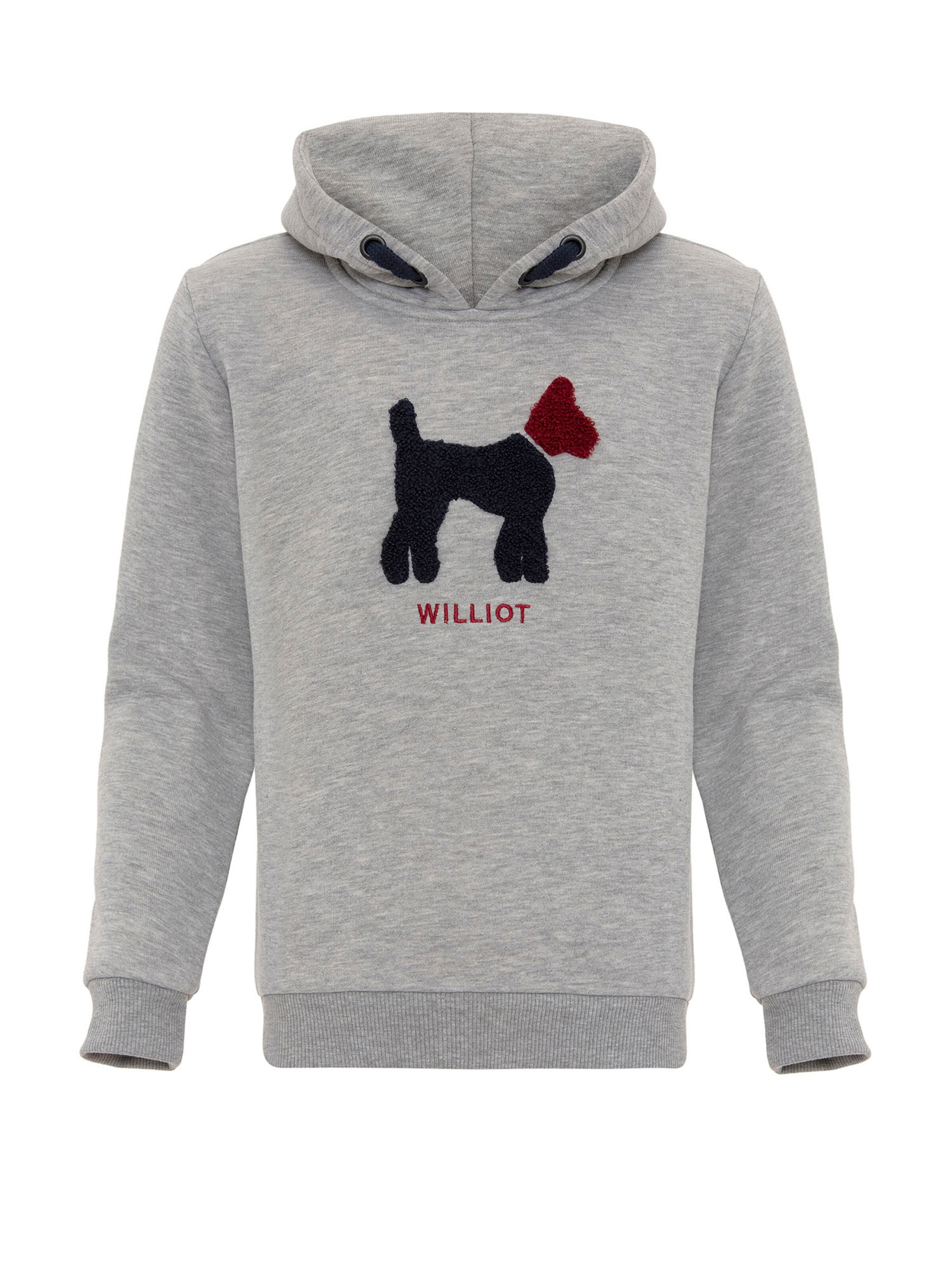 Williot - Sudadera en gris: frente
