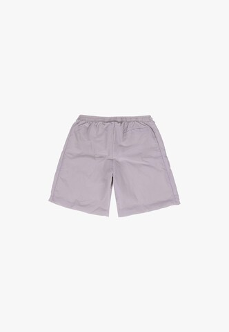 Dropsize Regular Pants in Grey