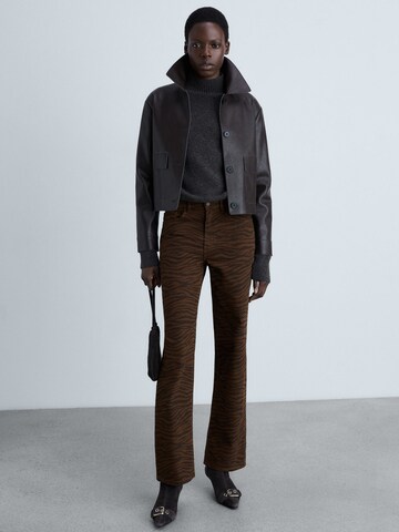 MANGO Regular Jeans in Brown