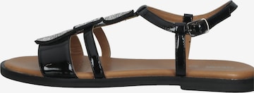 GEOX Sandalen met riem in Zwart