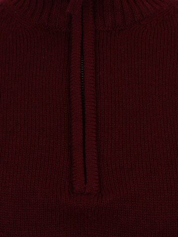 OVS Sweater in Red