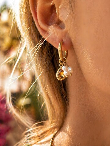 Nemomatheo Earrings 'Miele Huggie' in Gold