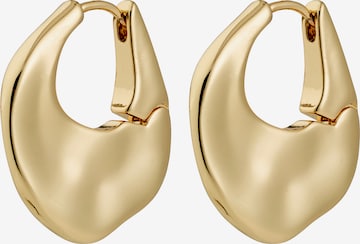 Pilgrim Korvakoru 'Sense' värissä kulta: etupuoli