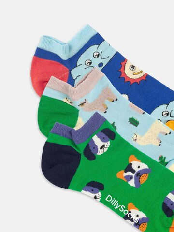 DillySocks Socks 'Short Fluffy Weather' in Mixed colours
