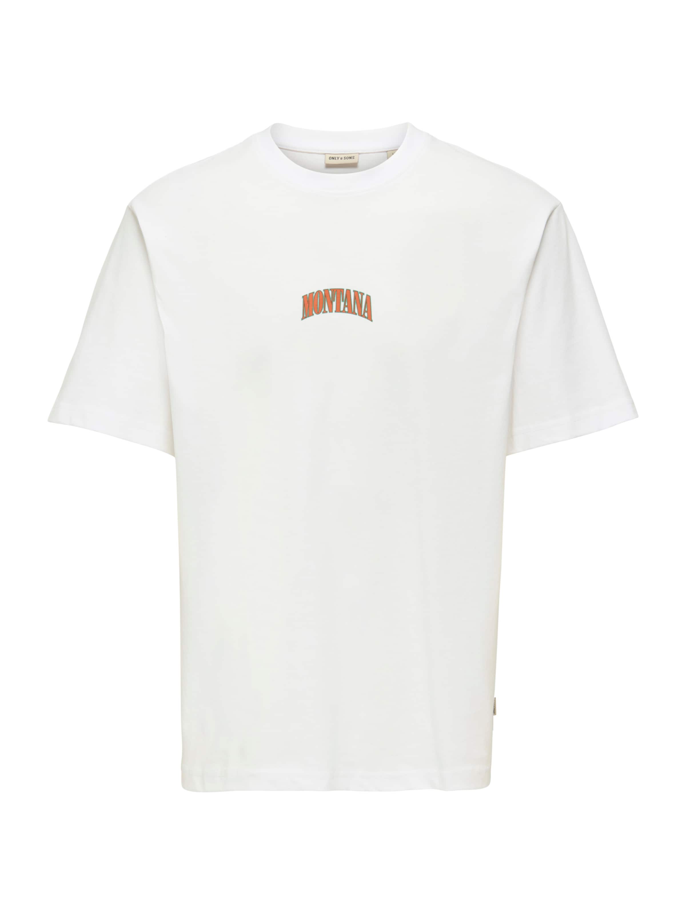 Only & Sons T-Shirt 'ONSSEB' en menthe / vert foncé / orange / blanc, Vue avec produit
