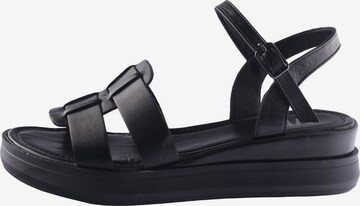 D.MoRo Shoes Sandals in Black