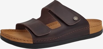 MUBB Mules in Brown: front