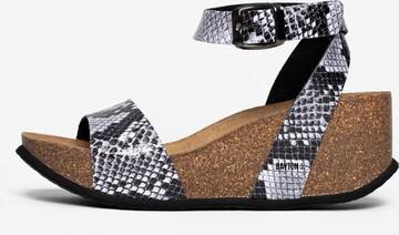 Bayton Сандали 'Sol' в сиво: отпред