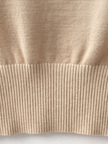 Pullover di MixRay in beige