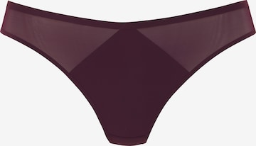 s.Oliver Spodnje hlačke | vijolična barva: sprednja stran