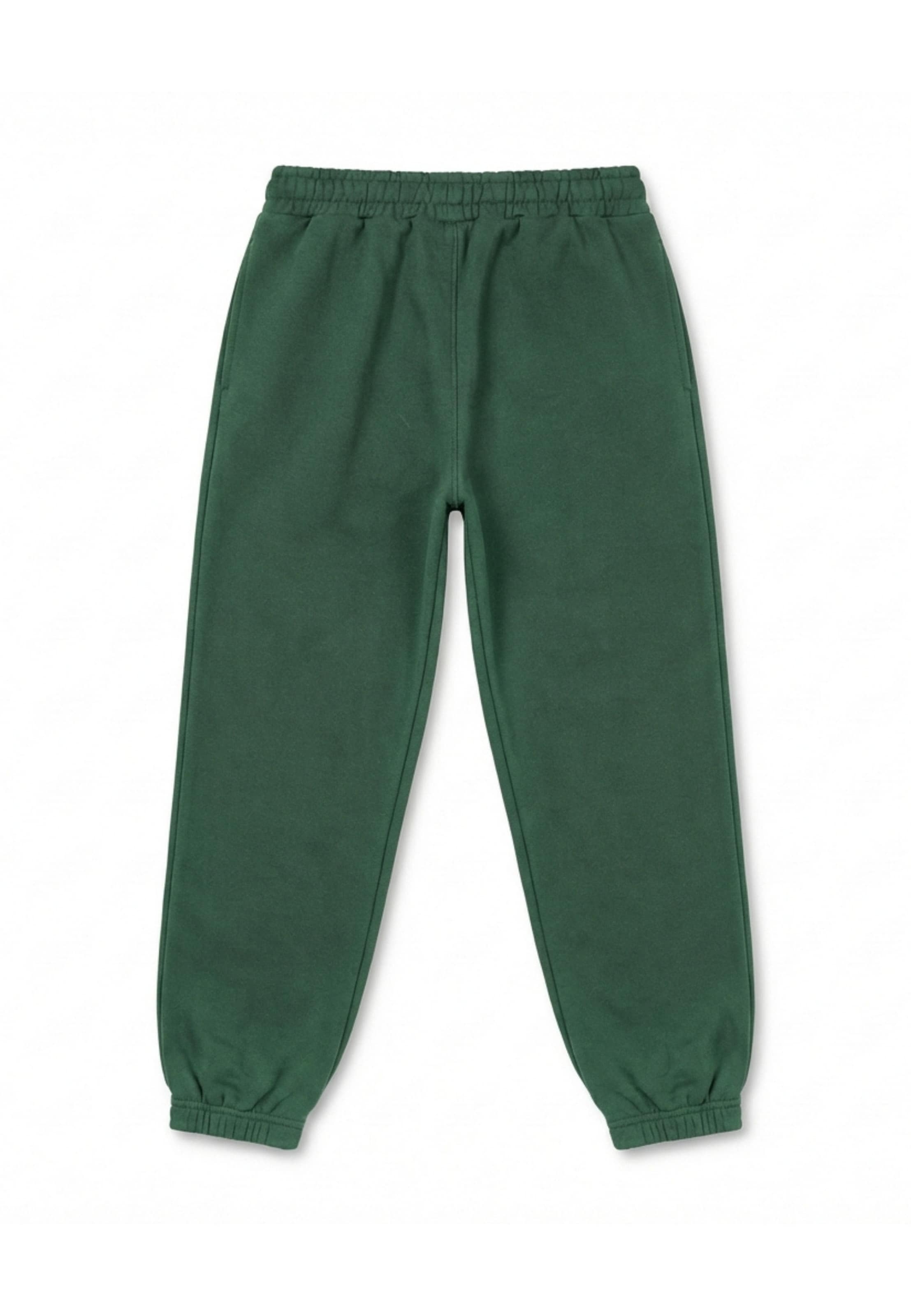 Pegador Loose fit Trousers in Green