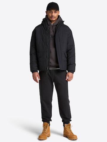 TIMBERLAND Tapered Hose in Schwarz