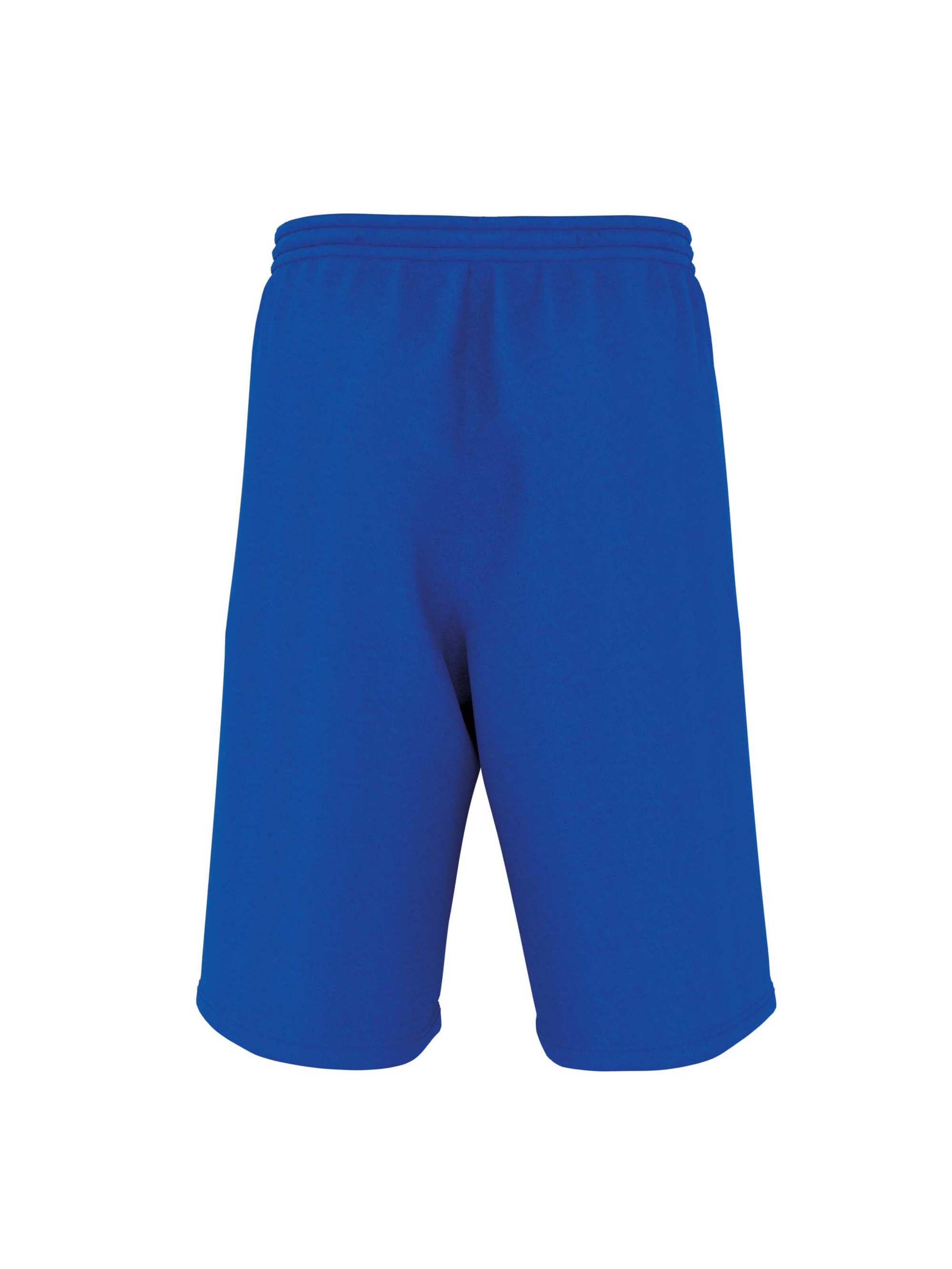 Errea Regular Trousers 'Dallas 3.0' in Blue
