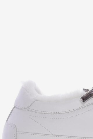 Candice Cooper Sneakers & Trainers in 42 in White
