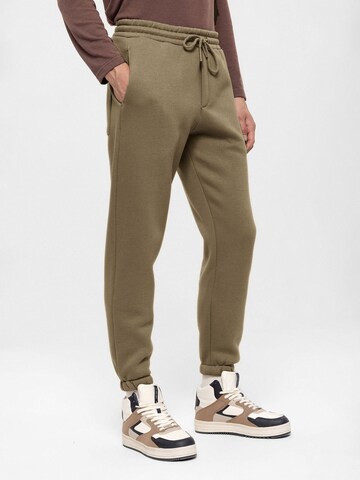 Antioch Tapered Pants in Green