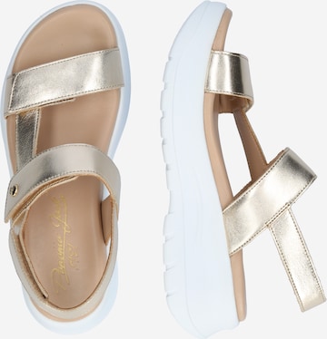 PANAMA JACK Sandals 'Noor' in Gold