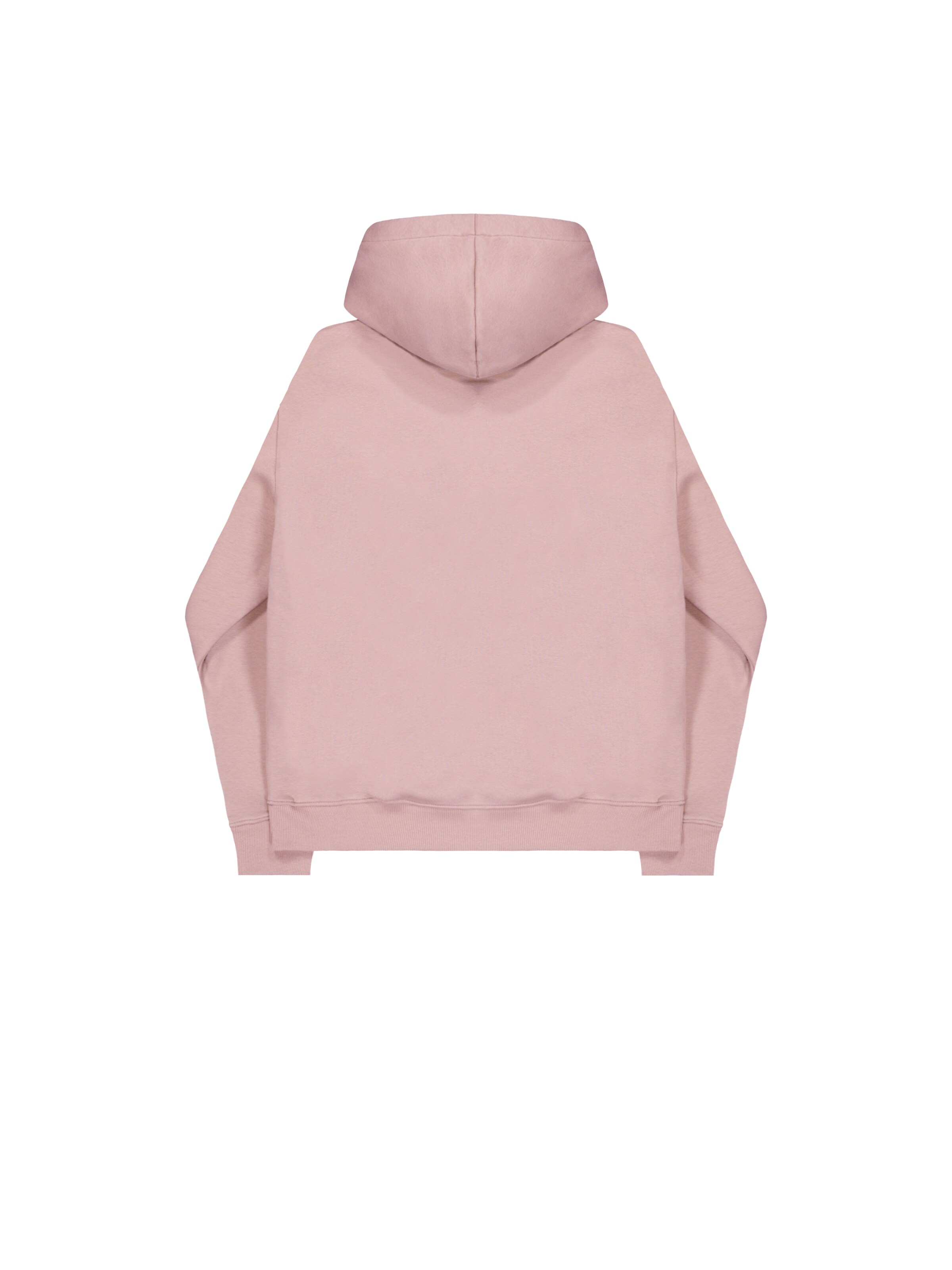 ALPHA INDUSTRIES Sweatshirt 'DTM' in Pink: Rückseite