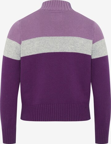 Jette Sport Sweater in Purple