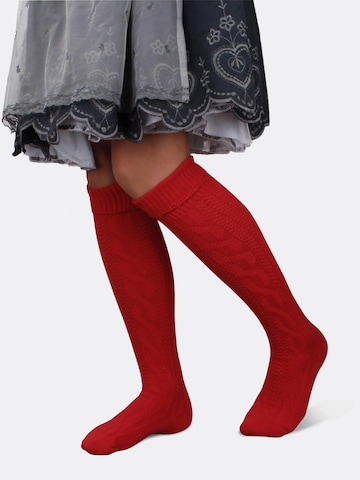 normani - Calcetines tradicionales en rojo: frente