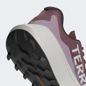 Chaussure basse 'AGRAVIC 3' ADIDAS TERREX en violet