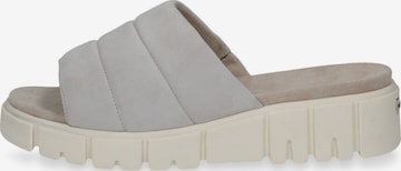 CAPRICE Mules in Grey