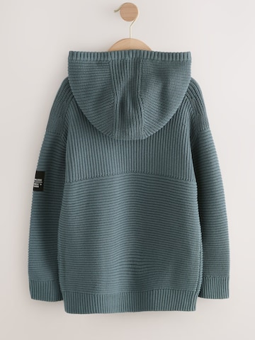 Next Sweater in Blue
