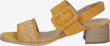 CAPRICE Sandals in Yellow