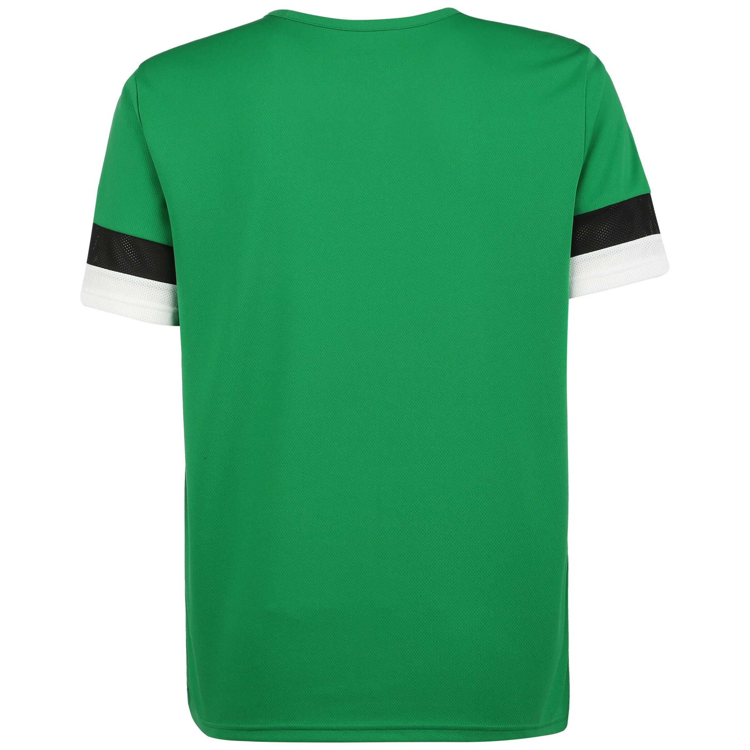 PUMA Jersey 'TeamRISE' in Green