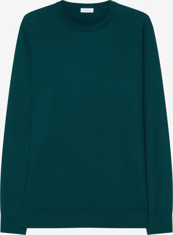 Pull-over SEIDENSTICKER en vert : devant