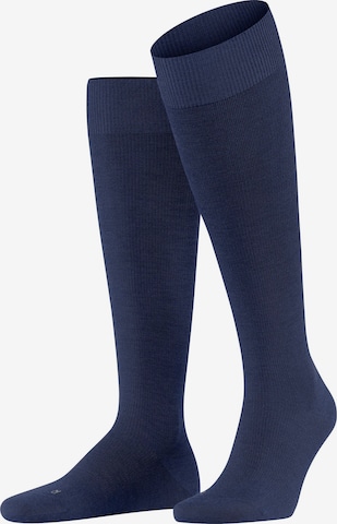 FALKE Kniestrümpfe 'Energizing Wool' in Blau: Vorderseite