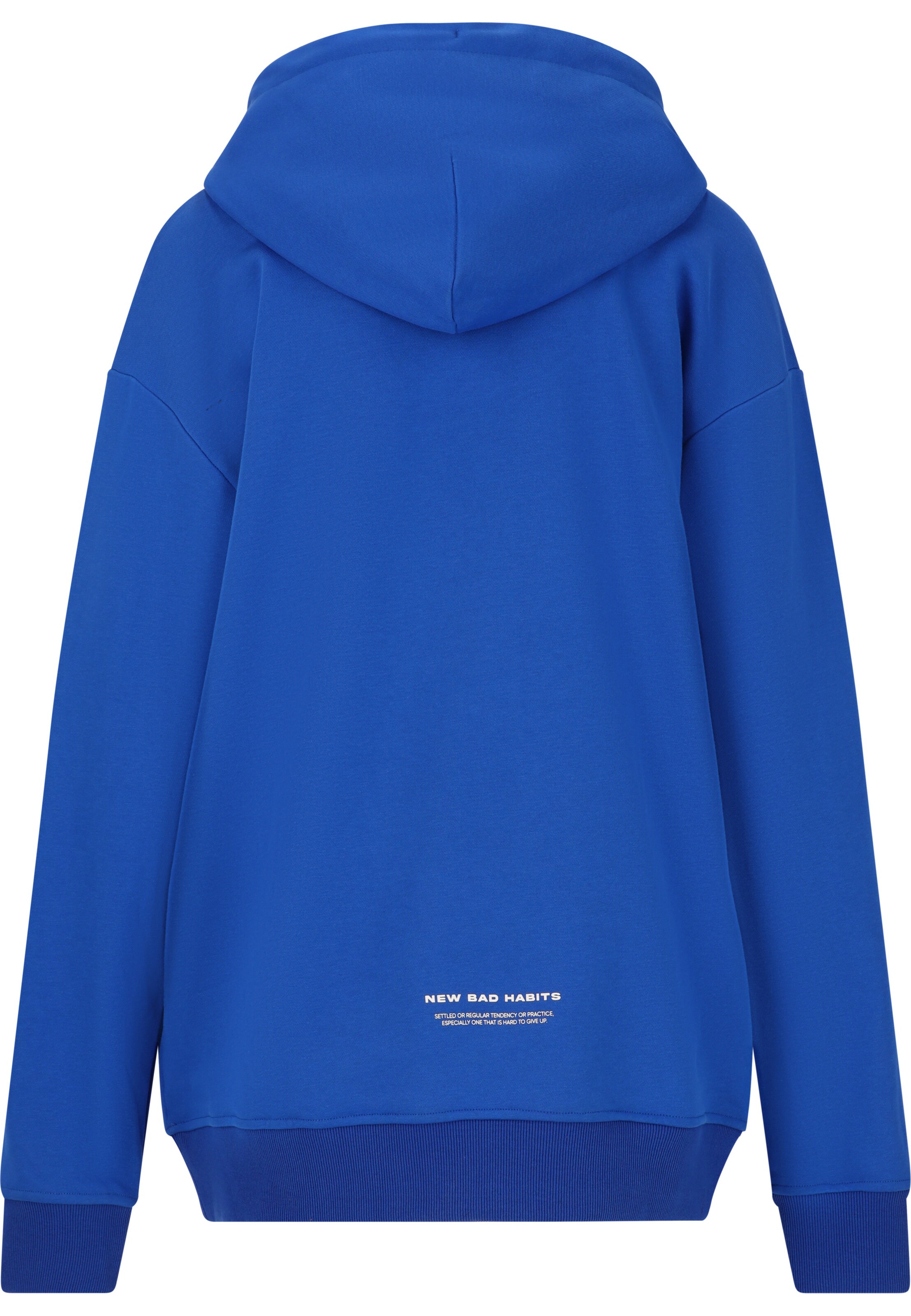 Les'Arcs Sweatshirt 'Roibin' in Blue