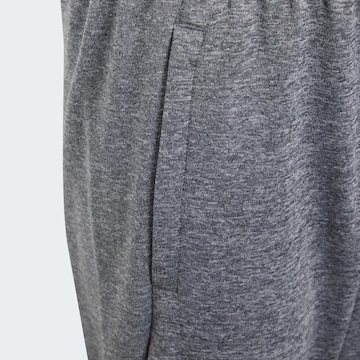 Regular Pantalon de sport ADIDAS SPORTSWEAR en gris