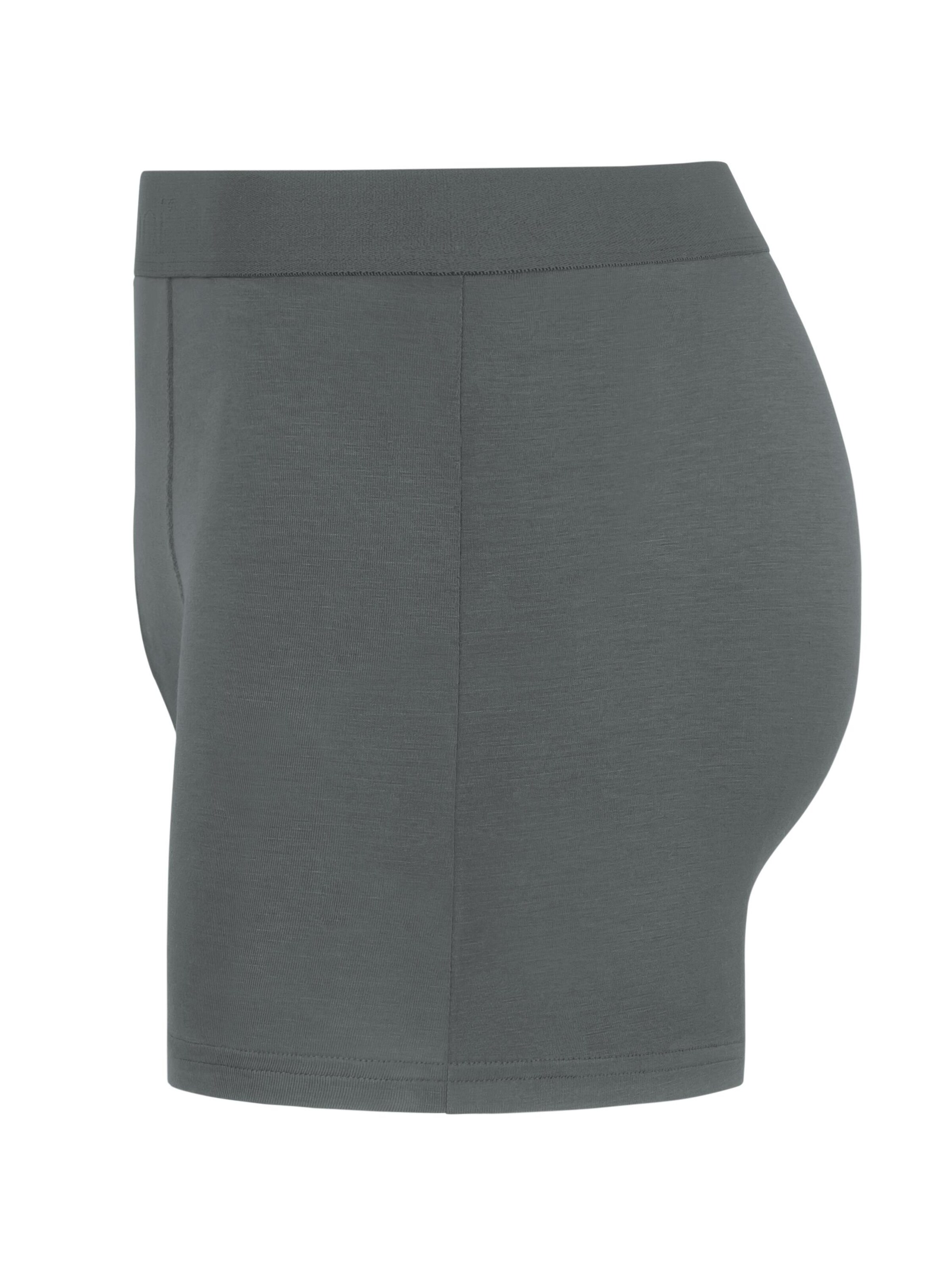 normani Boxer shorts in Grey