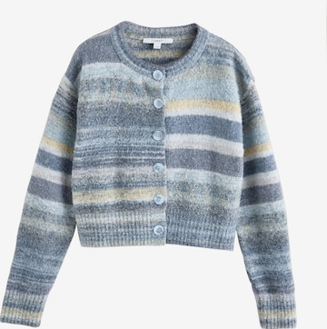 mėlyna Next Kardiganas: priekis