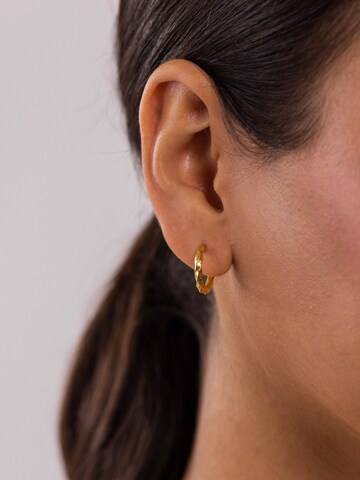 PURELEI Ohrringe 'Kelani' in Gold