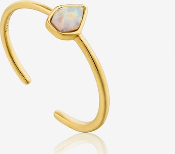 ANIA HAIE Ring in Gold: front