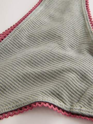 pilka Next Siaurikės