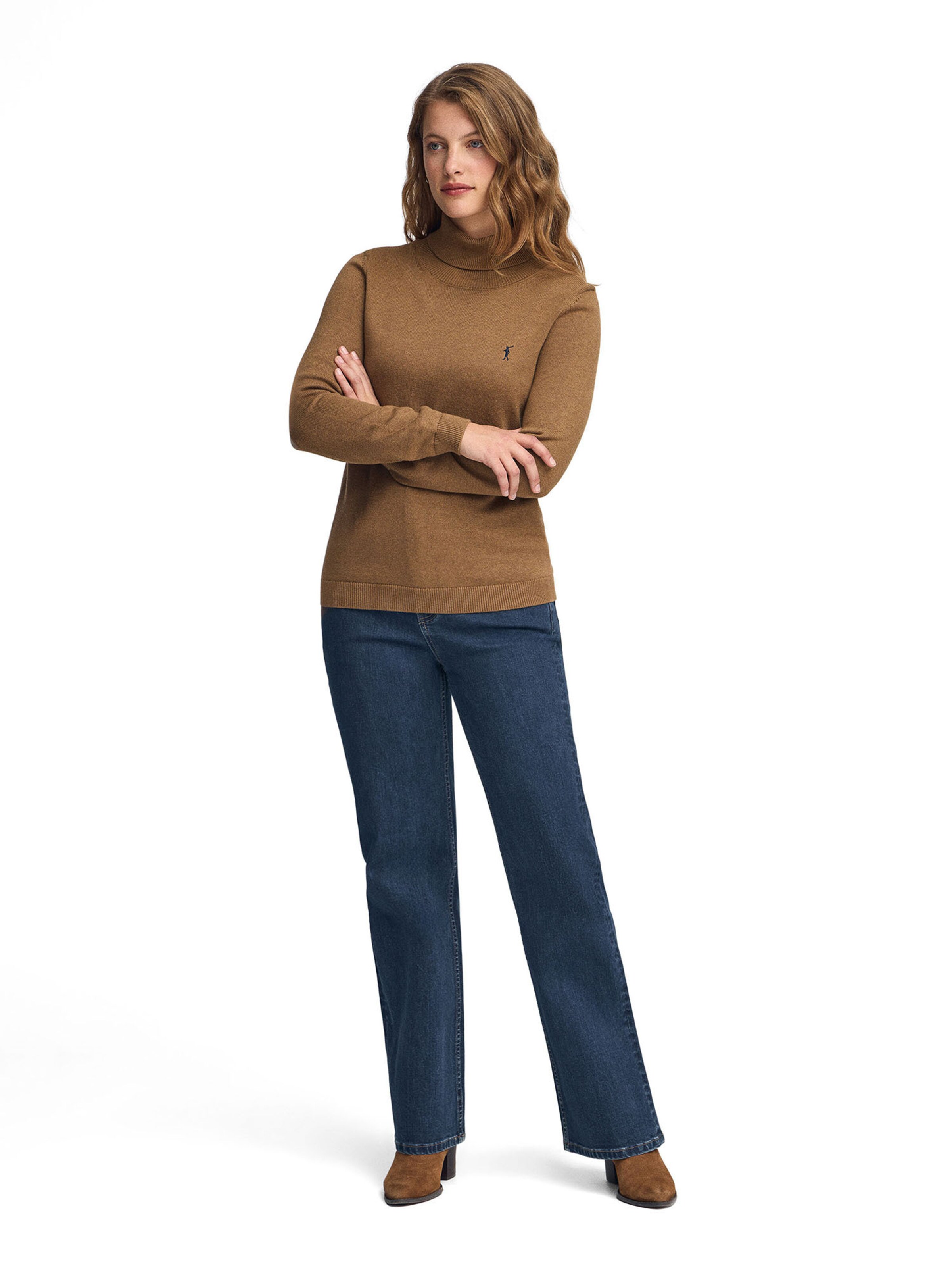 Polo Club Sweater in Brown