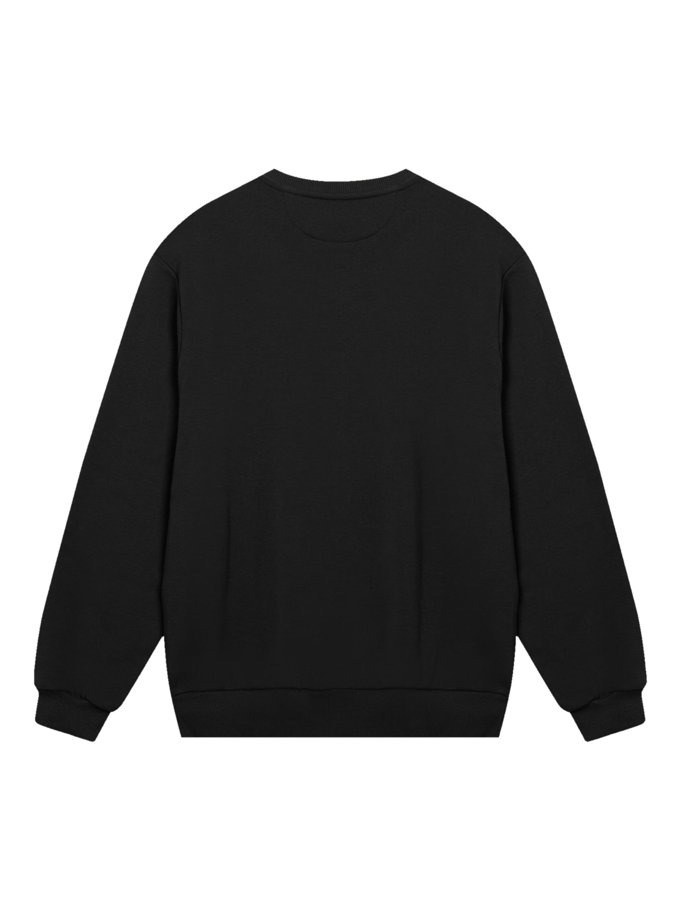 F4NT4STIC Sweatshirt 'Soccer' in Black
