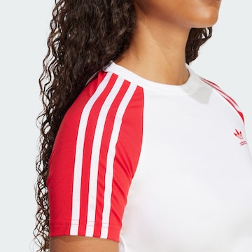 ADIDAS ORIGINALS Póló 'Adicolor' - fehér