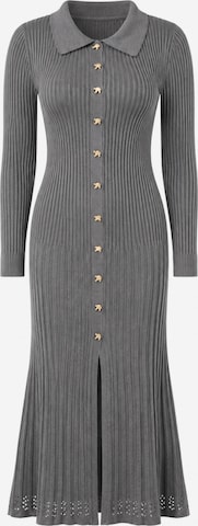 Elara Knit dress in Grey: front