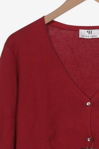 Peter Hahn Sweater & Cardigan in XXXL in Red
