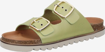 DR. BRINKMANN Mules 'BONILLO' in Green: front