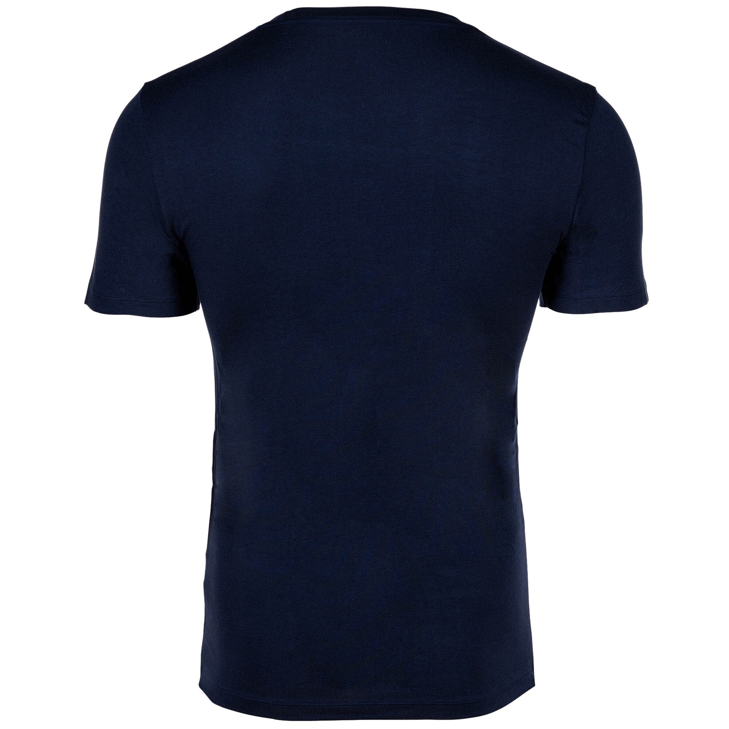 Maiou 'Spring Start' de la Polo Ralph Lauren pe albastru